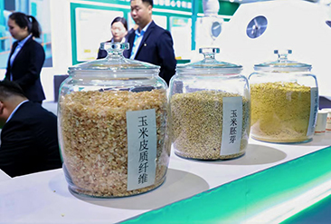 济南淀粉展现场活动图7