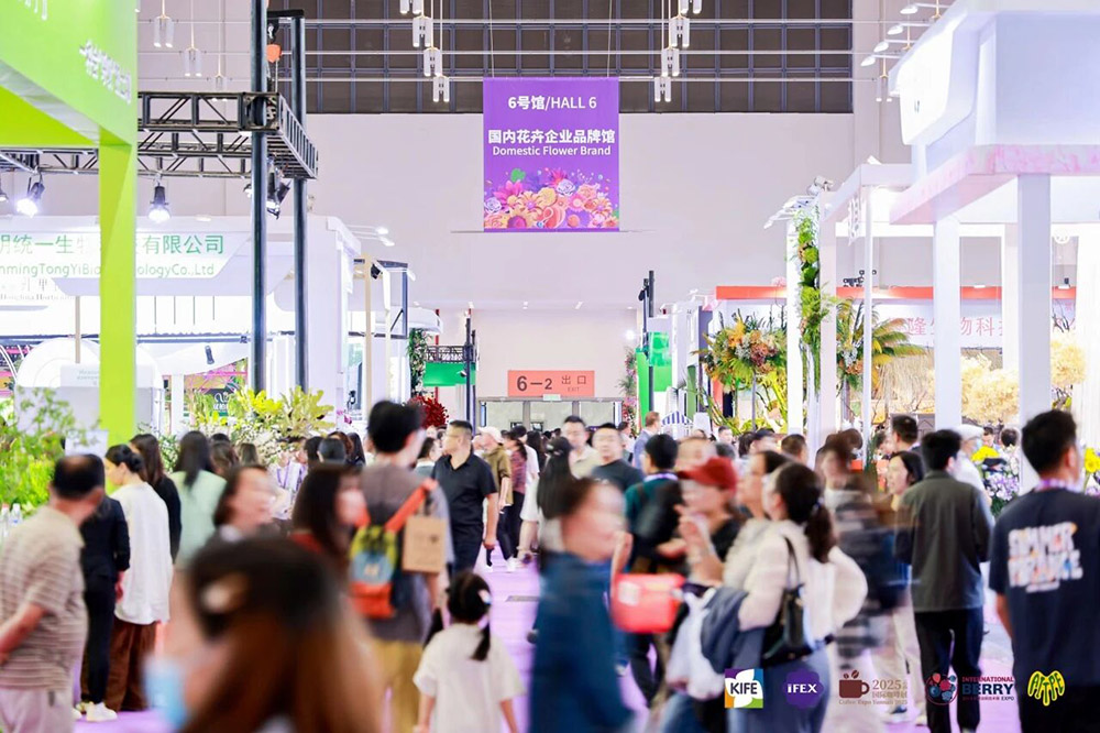 云南茶博会展会概况图