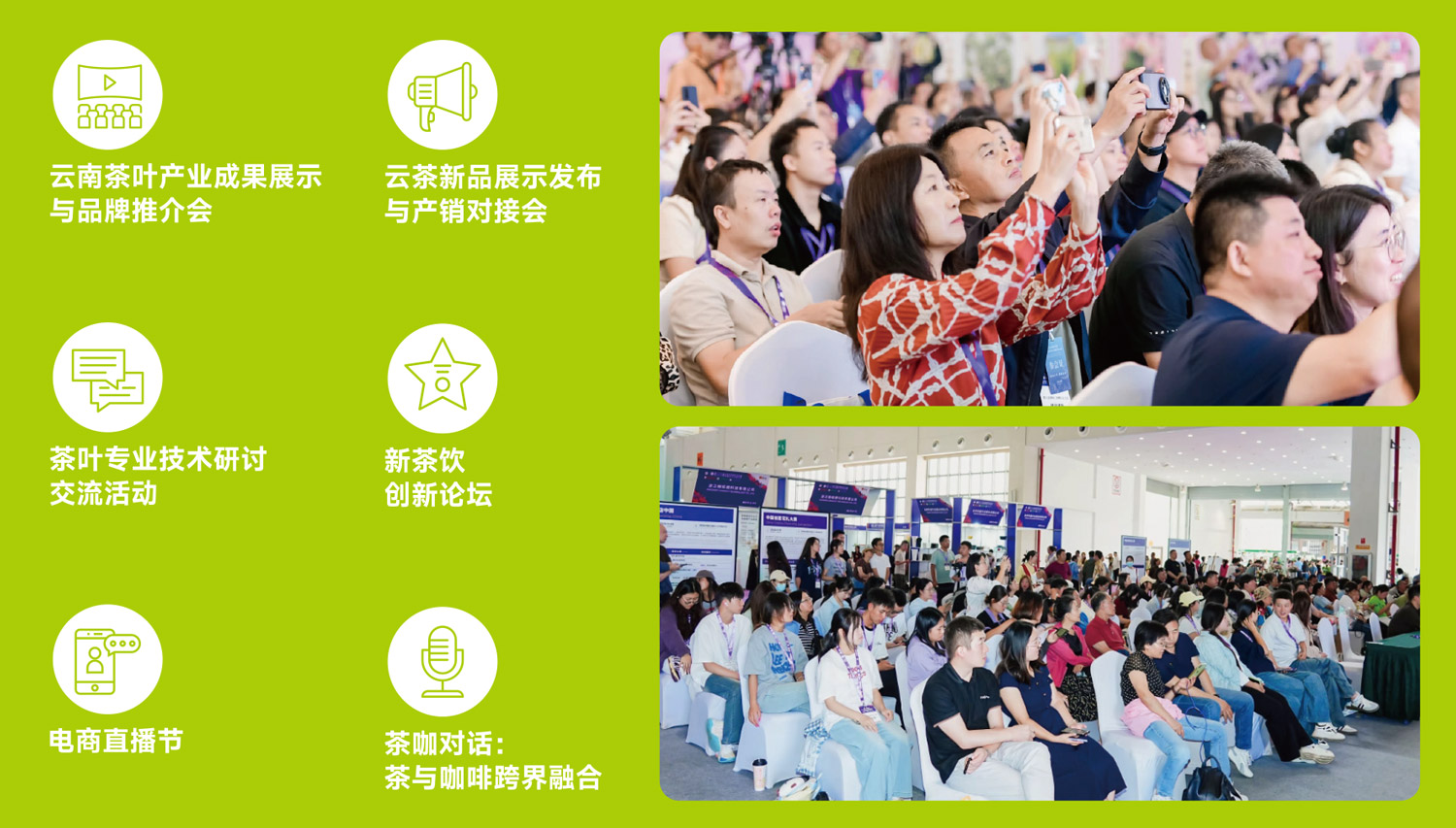 云南茶博会同期活动图