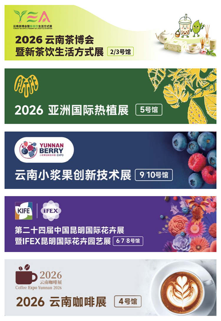 云南茶博会五展联动图