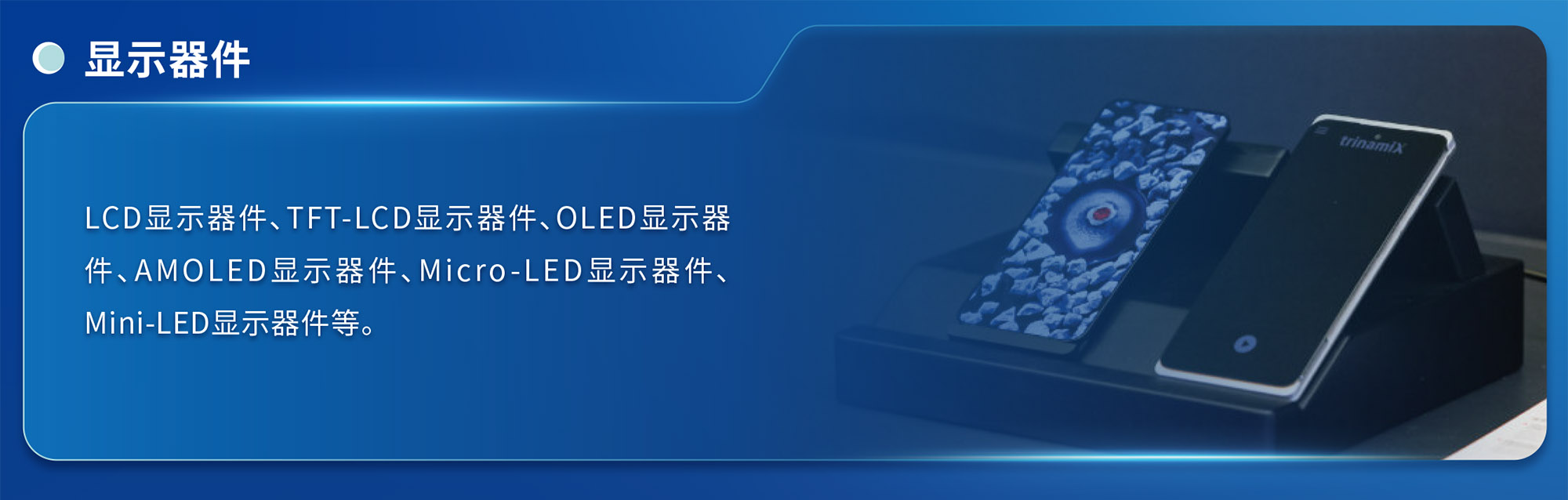 上海显示展展品范围图