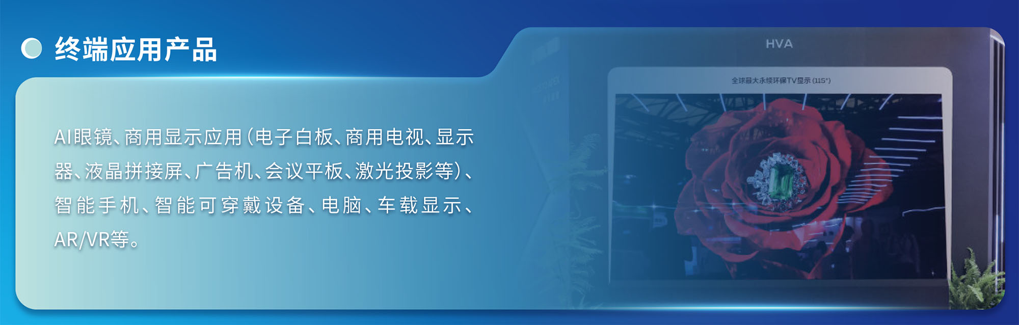 上海显示展展品范围图