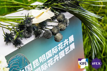 昆明花卉展展品范围图6