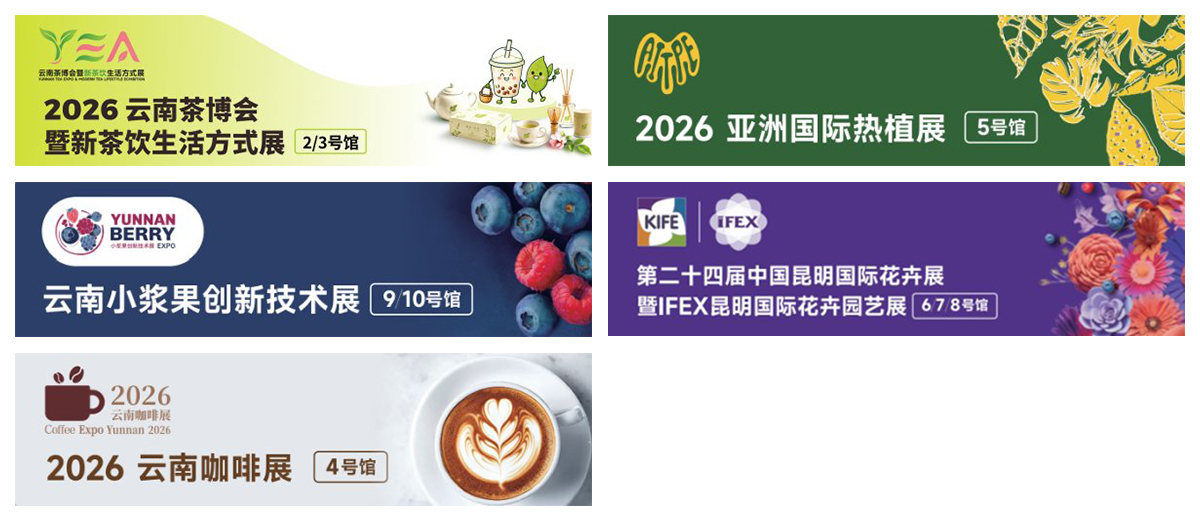昆明花卉展五展联动图