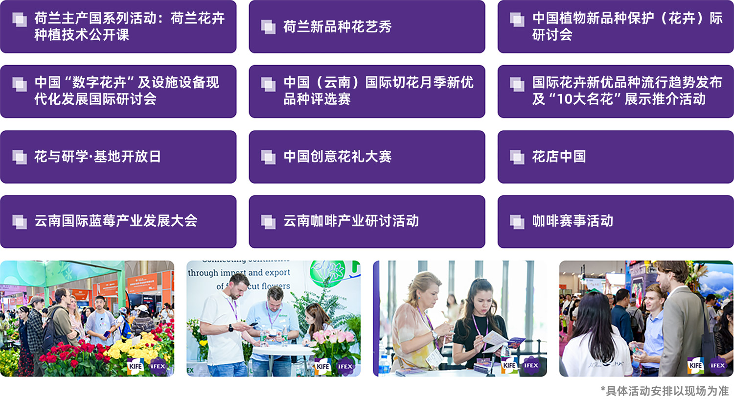 昆明花卉展同期活动图