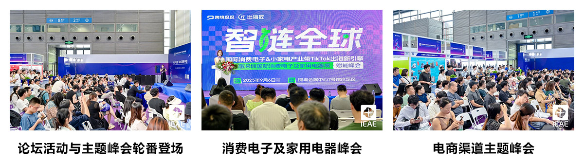 IEAE深圳消费电子展论坛活动图