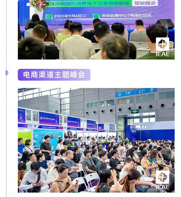 IEAE深圳消费电子展论坛活动图