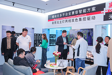 古镇灯博会现场活动图5